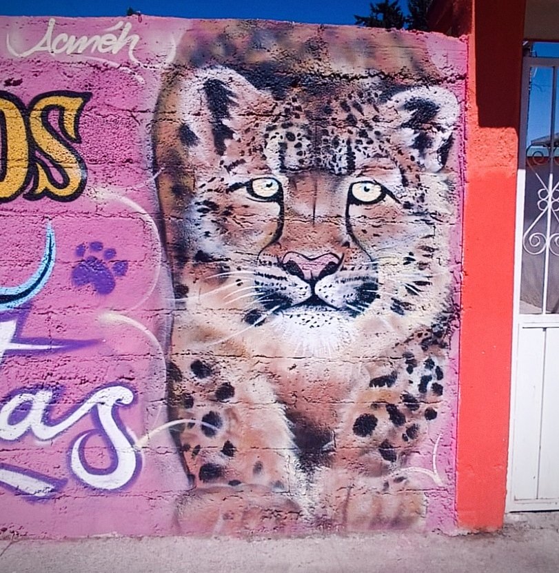 Proyecto artístico mural 9
